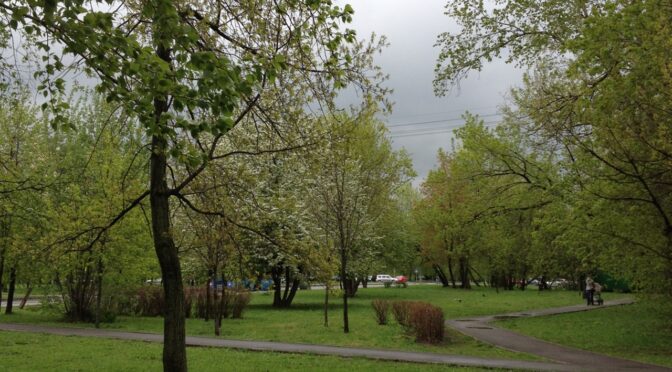 may evening